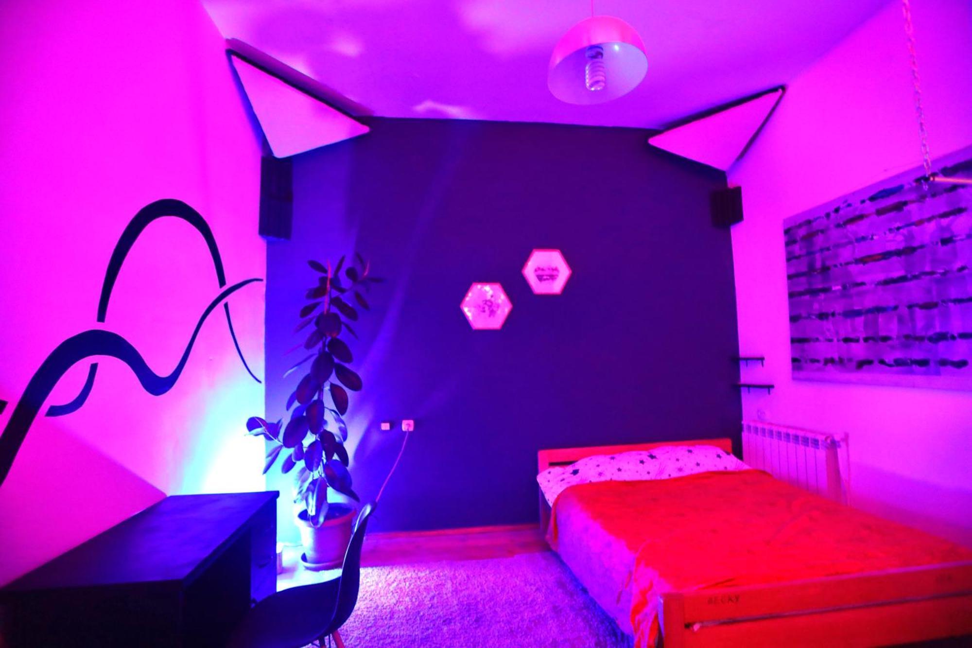 Cosy Studio With Beautiful Garden Jerevan Exteriér fotografie