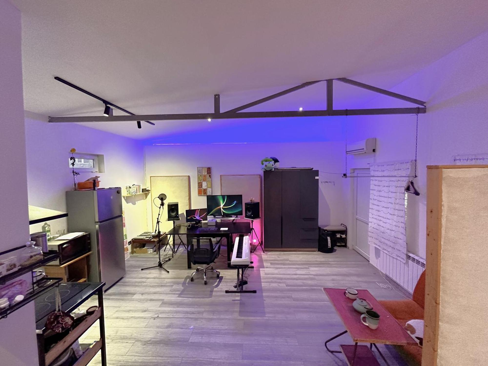 Cosy Studio With Beautiful Garden Jerevan Exteriér fotografie